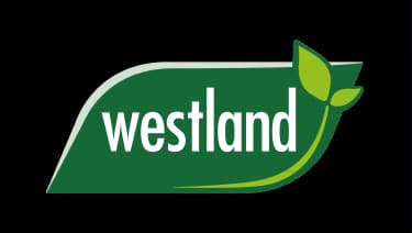 Westland
