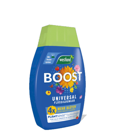 736705 WL Boost 1l 72dpi 570x650
