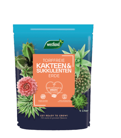 737344 WL Kakteen Sukkulenten Erde 4 570x650