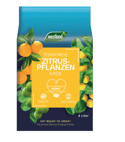 737368 WL Zitruspflanzen Erde 8 570x650
