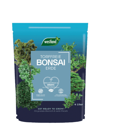 737382 WL Bonsai Erde 4 570x650